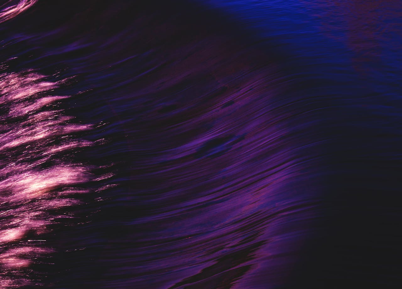 programs-03
